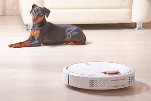 Dog lays on ground while robot vacuum sits in foreground.
