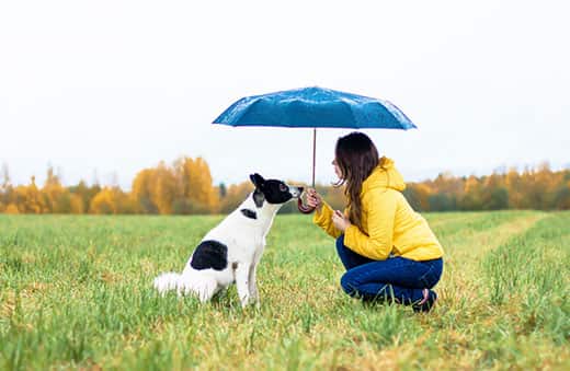 A woman in a yellow rain coat with her dog sitting under a large umbrella in the rain.