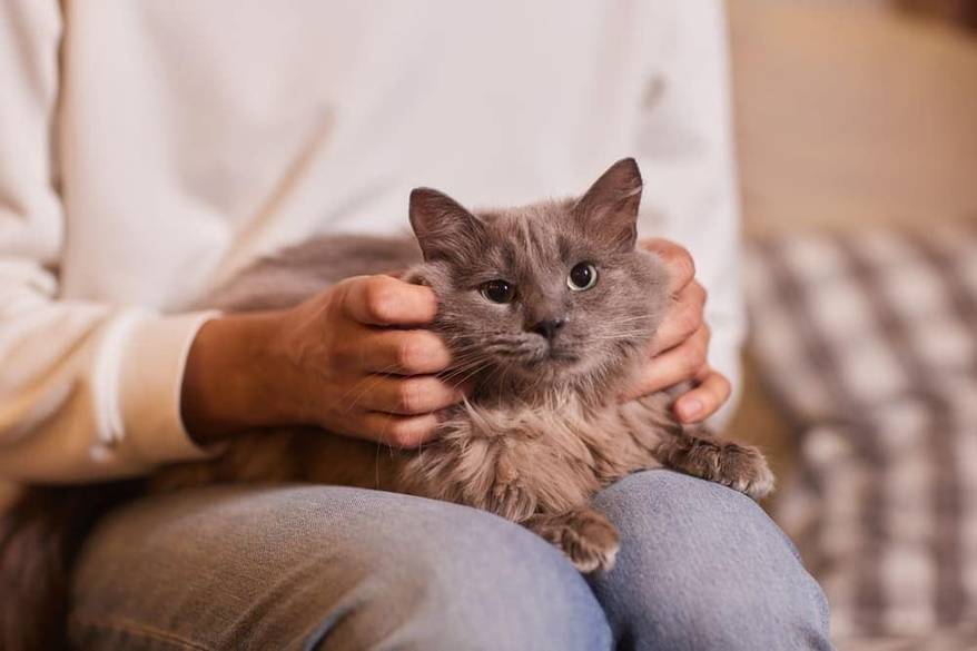 young man holding a cat on his lap