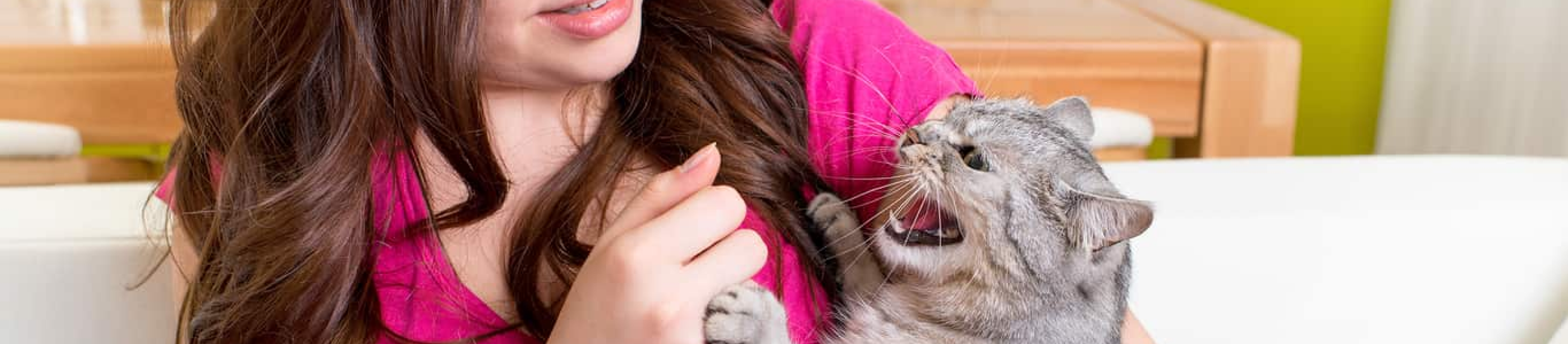 Cat hissing at woman holding her