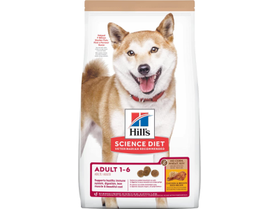 Bag of no corn, wheat or soy dry adult dog food