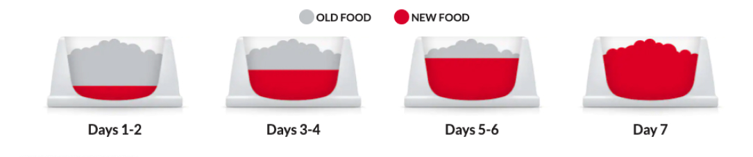 Hill's food transition