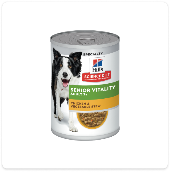 Senior wet dog food
